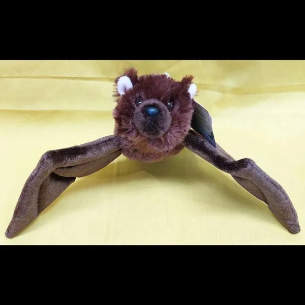 Aurora Brown Bat