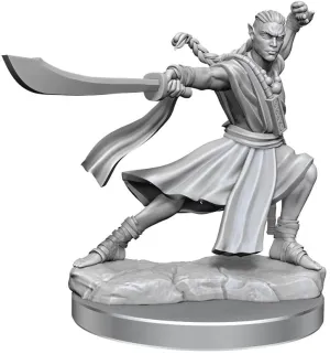 D&D Frameworks Elf Monk Male