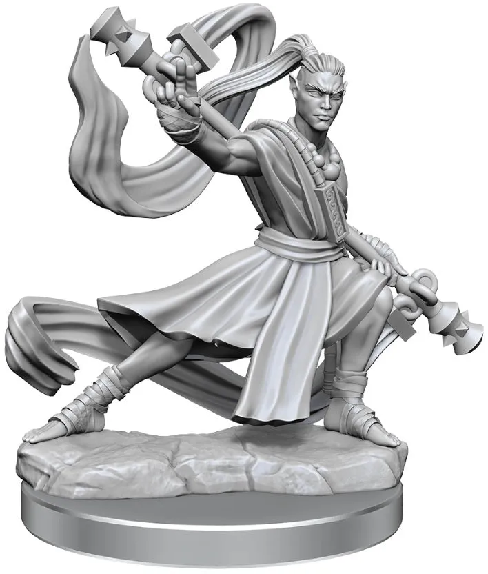 D&D Frameworks Elf Monk Male