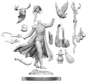D&D Frameworks Human Druid Female