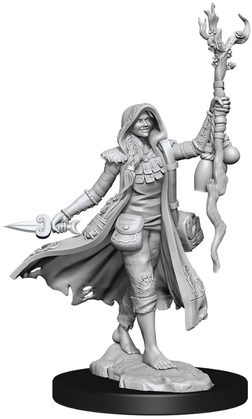 D&D Frameworks Human Druid Female