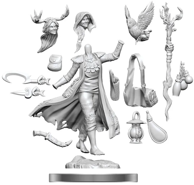 D&D Frameworks Human Druid Female