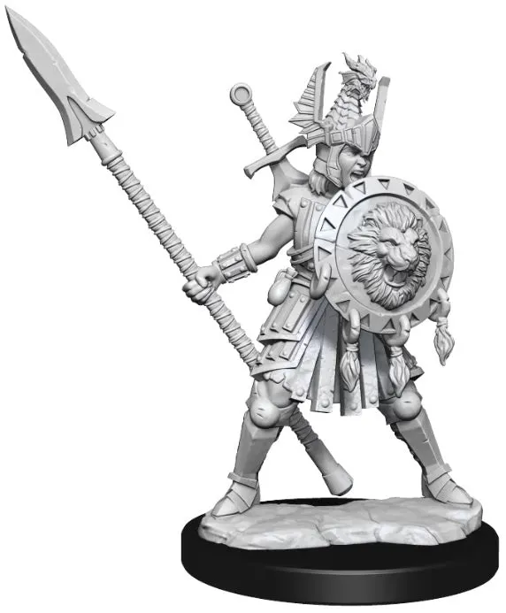 D&D Frameworks Human Fighter Female