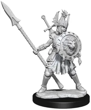 D&D Frameworks Human Fighter Female