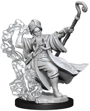 D&D Frameworks Human Wizard Male