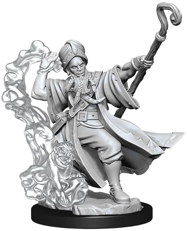 D&D Frameworks Human Wizard Male