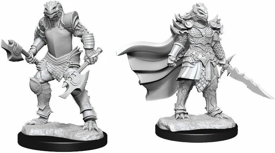 D&D Nolzurs Marvelous Unpainted Miniatures Dragonborn Fighter Female