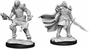 D&D Nolzurs Marvelous Unpainted Miniatures Dragonborn Fighter Female